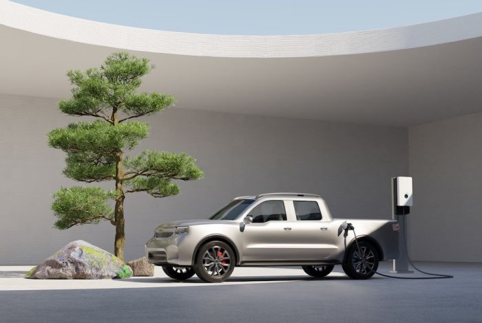 Should you consider leasing an electric Double Cab Pick-up in the UK?